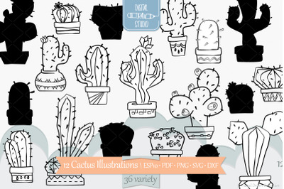 Cactus in Flower Pots | Hand drawn Succulent | Tropical House Plants