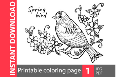 Spring bird coloring page