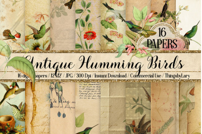 16 Antique Humming Birds Trochilidae Nature Digital Papers