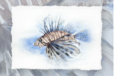 Watercolor Lionfish Clip Art and Print