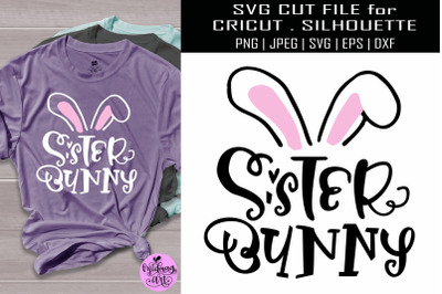 Sister bunny svg&2C; easter shirt svg&2C;