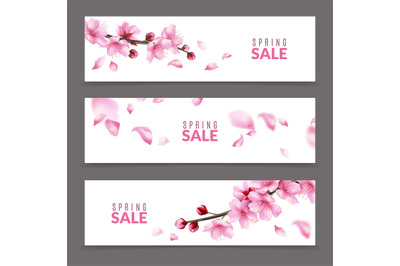 Sakura banners. Spring japanese cherry flower blossom and branches, fa