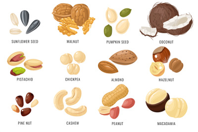 Nuts and seeds. Cashew and hazelnut&2C; almond and coconut&2C; walnut and pe