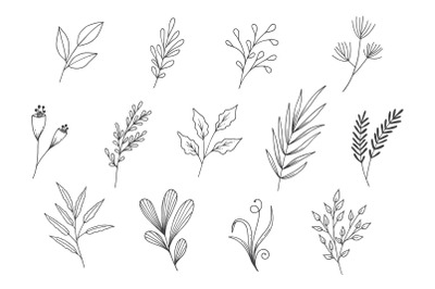 Natural Leaves Line Art Collection
