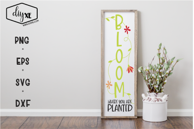 Bloom Where You Are Planted- A Front Porch Sign SVG