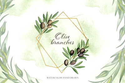 Olive branches. Watercolor