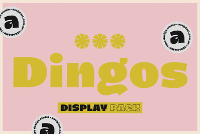 Dingos Display Pack