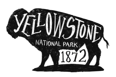 Yellowstone National Park Buffalo