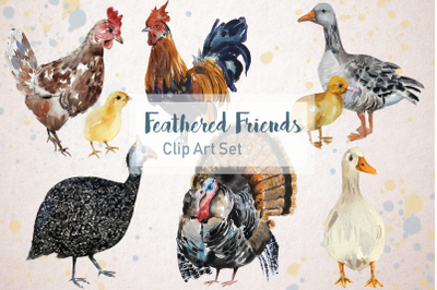 Feathered Friends - Watercolor Clip Art