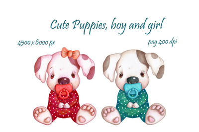 Cute Puppies, boy and girl.