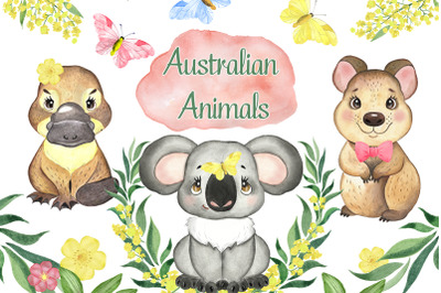 Australian animals clipart. Koala clipart. Watercolor baby animal