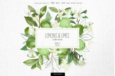 Lemons &amp; limes. Frame #1.