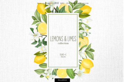 Lemons &amp; limes. Frame #3.