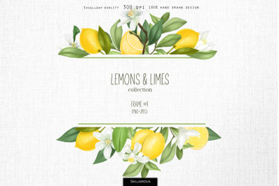 Lemons &amp; limes. Frame #4.