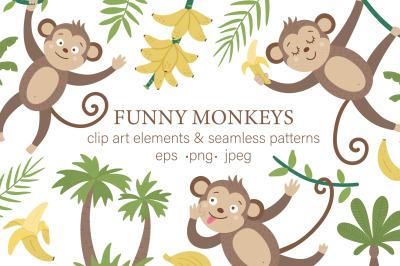 Funny Monkeys