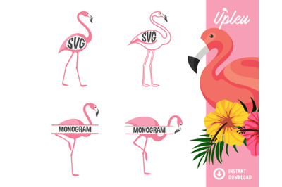 Flamingo Monogram SVG