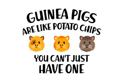 Guinea Pigs Are Like Potato Chips You Cant&#039;t Just Have One