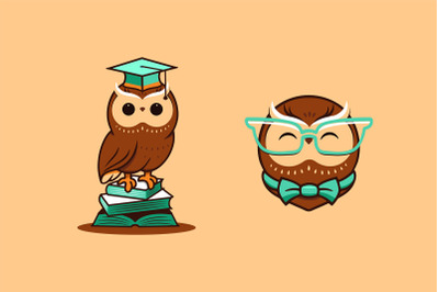 The cute owl, study logo