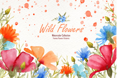Watercolor Wild Flowers