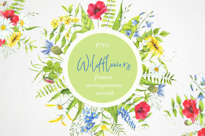Watercolor flower clipart. Wildflowers, plants. flower frame