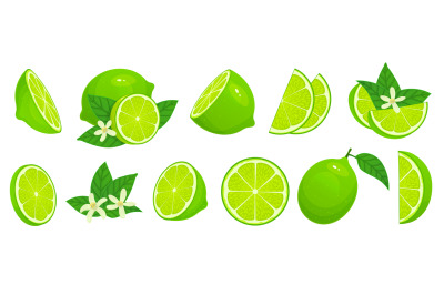 Cartoon lime. Limes slices, green citrus fruit with leaves and lime bl