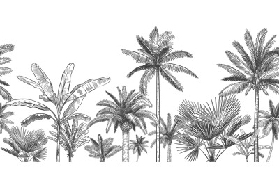 Seamless horizontal tropical background. Hand drawn palm trees, sketch