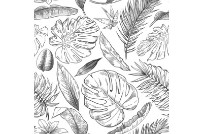 Hand drawn tropical leaves pattern. Sketch drawing palm branch, monste