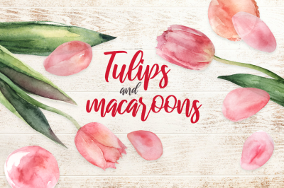 Tulips and Macaroons