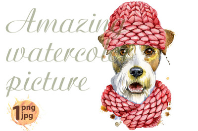 Watercolor portrait of airedale terrier dog with pink knitted hat