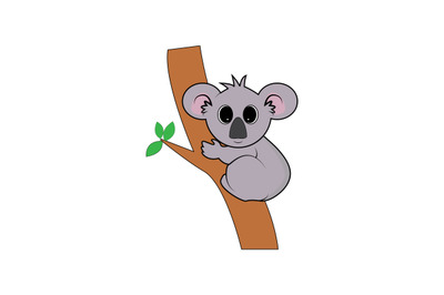 cute koala