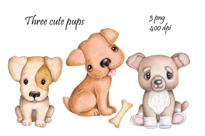 Three cute pups. Watercolor illustrations.