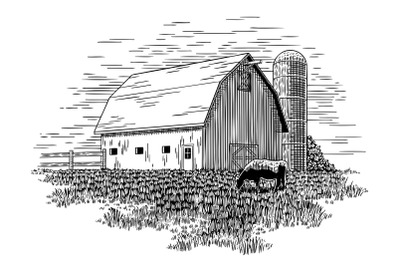 Old Milk Barn and Cow