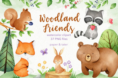 Watercolor Woodland Animals Clipart Graphics