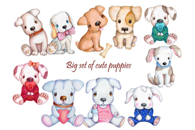 Big set of cute pups. Watercolor illustrations.