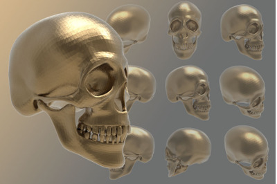 illustration from a skull