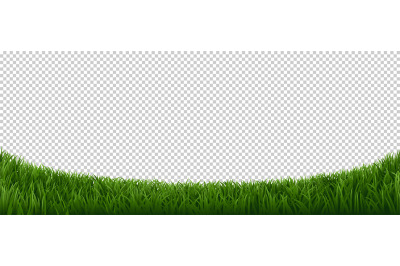 Realistic grass border. Green herb lawn, garden herb plants frame, fre