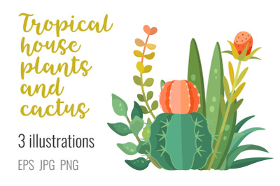 Tropic plants and cactus composition