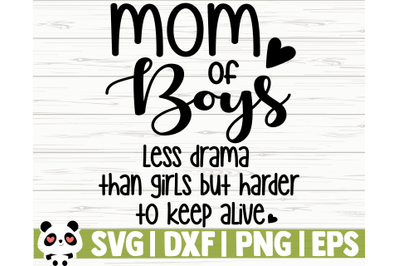 Mom of Boys Less Drama Than Girls But Harder To Keep Alive