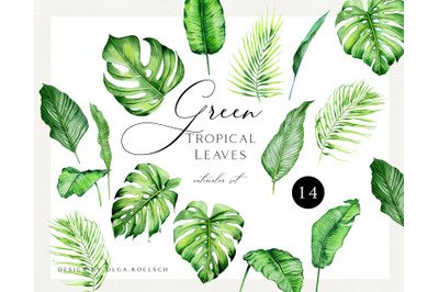 Watercolor tropical clipart. Greenery clipart watercolor leaf.  Modern