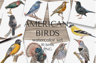 American Birds Watercolor Set