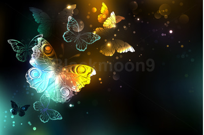 Luminous Butterfly