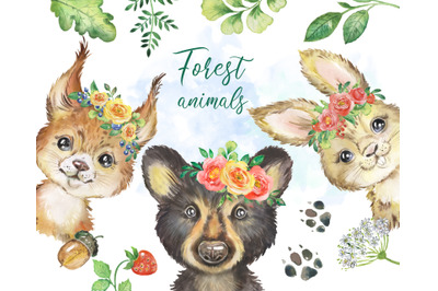 Forest Animals watercolor clipart, bear, rabbit, squirrel, Woodland