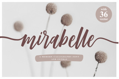 Mirabelle - Modern Script