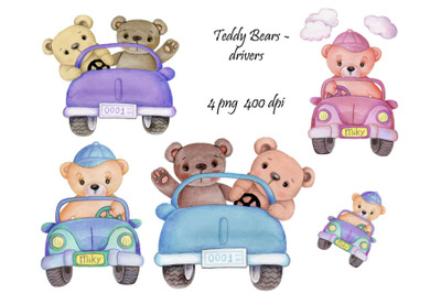 Set of Teddy Bears Drivers. Watercolor.