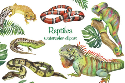 Watercolor reptile clipart. Pet Animal Clipart. Chameleon, Lizard