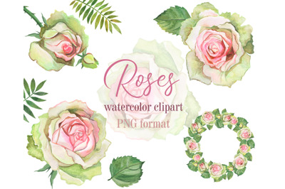 Watercolor Roses Clipart. Spring and delicate floral clipart with rose