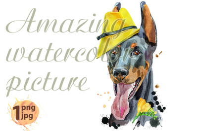 Watercolor portrait doberman with yellow hat and freesia