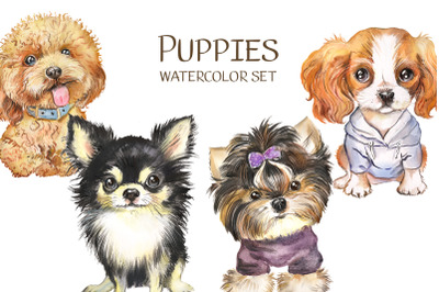 Dog watercolor clipart, watercolor Dogs clipart, watercolor clipart