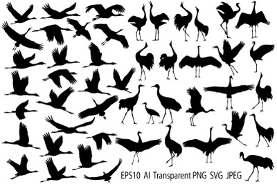 Cranes silhouette