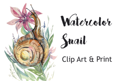 Watercolor Snail - Clip Art &amp; Print